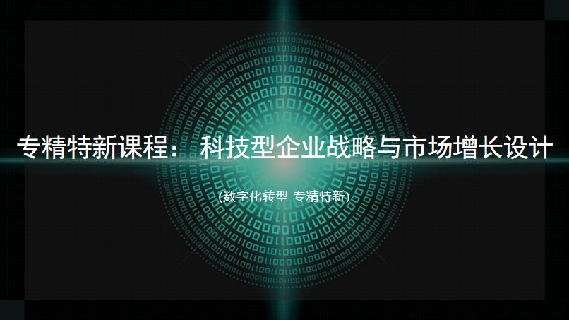 專(zhuān)精特新-科技型企業(yè)戰(zhàn)略與市場(chǎng)增長(zhǎng)設(shè)計(jì)